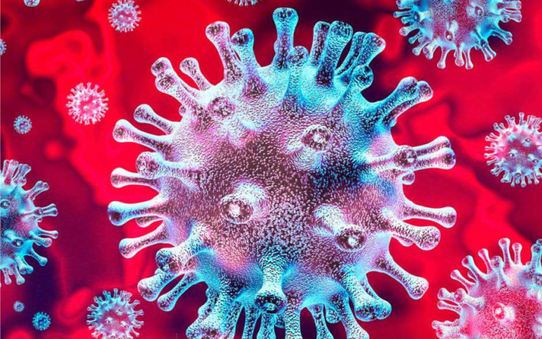 Impact of the Coronavirus Crisis