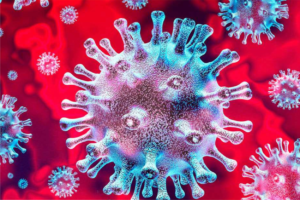 Impact of the Coronavirus Crisis